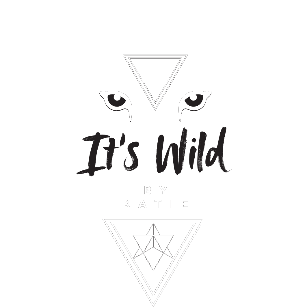 It's Wild by Katie